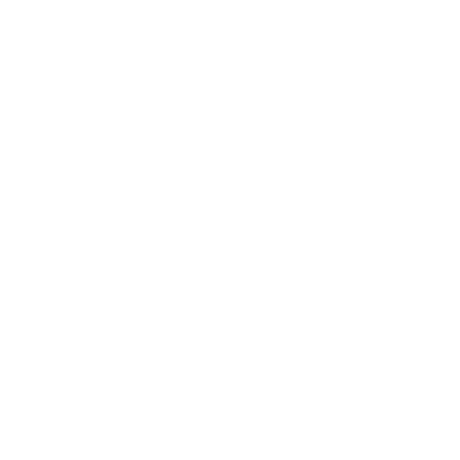 Pause icon