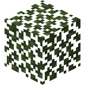 birch_leaves