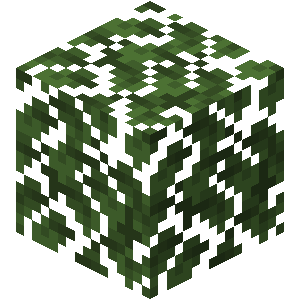 dark_oak_leaves