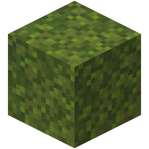 moss_block