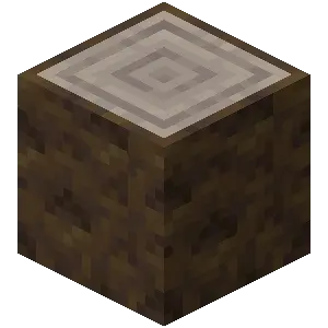 poplar_log