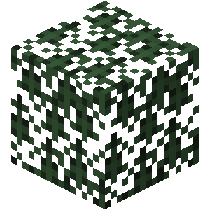 spruce_leaves